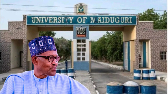 A collage picture of late ex-president Muhammadu Buhari and the University of Maiduguri campus gate